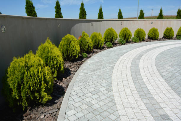 Best Affordable Driveway Paving  in Green Valley, CA